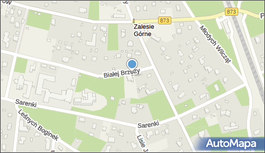 Publiczna Miasta Piaseczno Filia w Zalesiu Górnym, Zalesie Górne 05-540 - Biblioteka, godziny otwarcia, numer telefonu