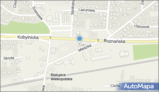 Biedronka - Supermarket, Mieszka I 1, Biskupice, godziny otwarcia