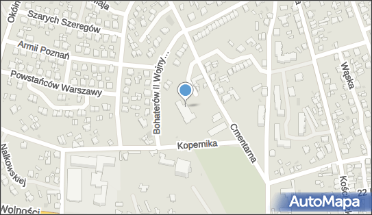 Blue stop - Drogeria, Kopernika 18, Golina