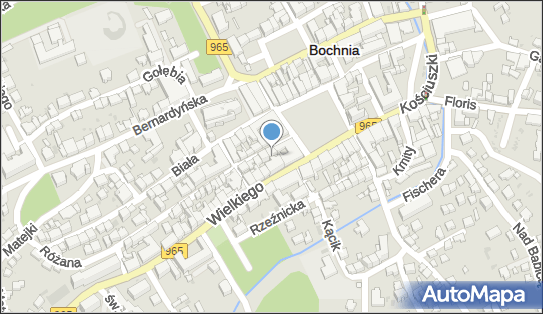 BNP Paribas - Oddział, Wolnica 2, Bochnia 32-700, godziny otwarcia
