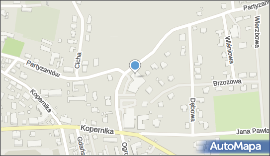 BODZIO - Sklep, Spacerowa 2, Pasłęk, godziny otwarcia, numer telefonu