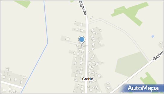 260438396, Andrzej Podhorodecki 