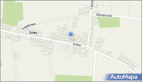 Brukarstwo Szymański Leszek, Sowy 47, Sowy 63-920 - Budownictwo, Wyroby budowlane, NIP: 6991208838