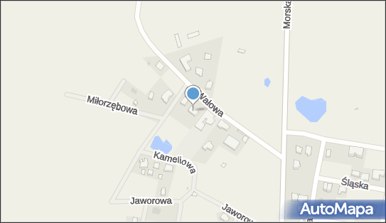 9580915398, Dariusz Zakrzewski REMO-CDR Zakrzewski 