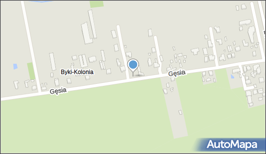 Dsa System Piotr Kępski, Gęsia 23C, Piotrków Trybunalski 97-300 - Budownictwo, Wyroby budowlane, NIP: 7712815802
