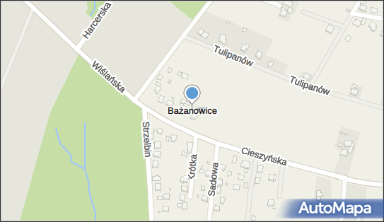 Firma, Bażanowice 25, Bażanowice 43-440 - Budownictwo, Wyroby budowlane, NIP: 5481002735