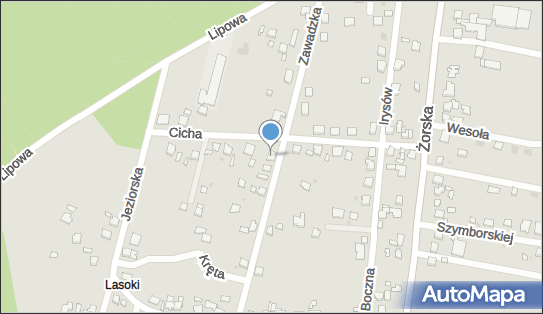 6461431089, Jarosław Kurek AI-DOM Inteligentne Systemy 