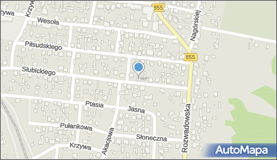 Kris Krzysztof Krzemiński, ul. Władysława Słubickiego 14 37-470 - Budownictwo, Wyroby budowlane, NIP: 8652341085