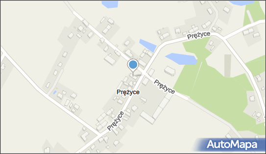 Krzysztof Walęciak, Prężyce 23, Prężyce 55-330 - Budownictwo, Wyroby budowlane, NIP: 9131015633