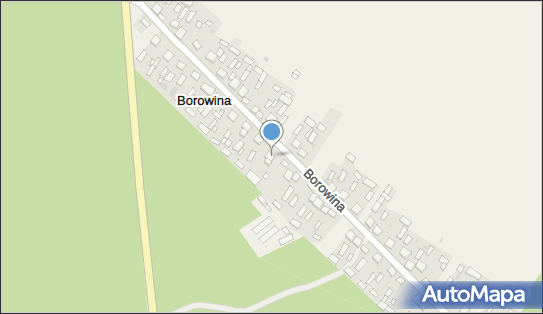 Mariusz Naklicki Specjalistyczne Roboty Budowlane, Borowina 48 23-460 - Budownictwo, Wyroby budowlane, NIP: 9181770432