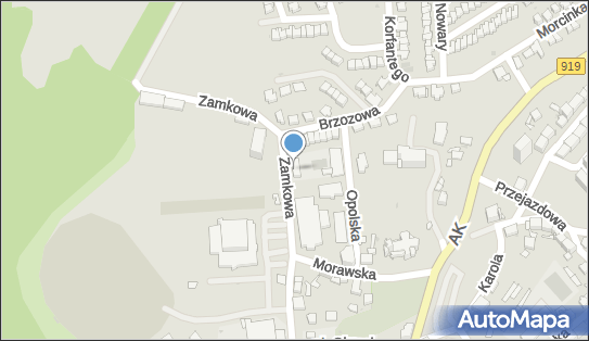 Przedsiębiorstwo Budowlane Budinwest, Zamkowa 13, Racibórz 47-400 - Budownictwo, Wyroby budowlane, numer telefonu, NIP: 6391793308