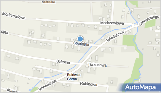 Robert Żywioł - Działalność Gospodarcza, ul. Spokojna 1 34-120 - Budownictwo, Wyroby budowlane, NIP: 5511954022