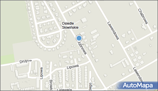 8392954016, Selfnet Marcin Daglis 