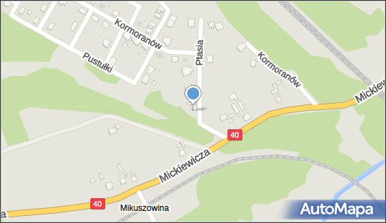 9690325321, Szafrański Michał Budo-Instal 