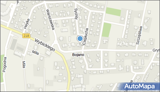 Tessmar Adam Kazimierz Zakład Usługowy Eltes, Bojano 84-207 - Budownictwo, Wyroby budowlane, NIP: 5882106096