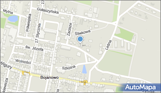 Usługi Budowlane, Lipowa 7, Bojanowo 63-940 - Budownictwo, Wyroby budowlane, NIP: 8841776370