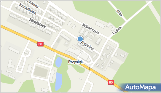 w R B Styl Wąsik Robert, ul. Wspólna 3A, Przysiek 87-134 - Budownictwo, Wyroby budowlane, NIP: 9561876711