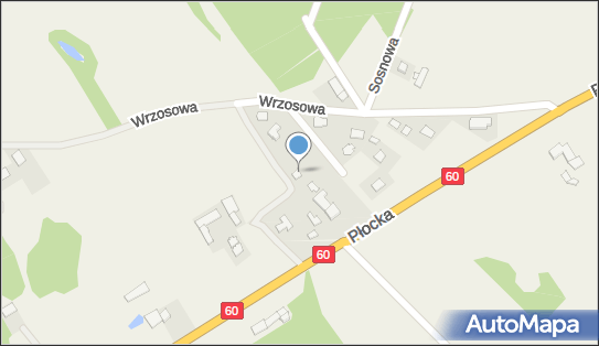 Zbigniew Piątkowski- P.H.U.Pro-Dekor, ul. Wrzosowa 13C, Pęchcin 06-400 - Budownictwo, Wyroby budowlane, NIP: 5661320939