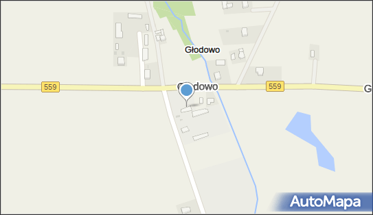 Carrefour - Stacja paliw, Głodowo 56A, Lipno 87-600, godziny otwarcia, numer telefonu