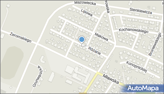 Szmelc Sławomir Traffic Catering i Event, Różana 13, Żuromin 09-300 - Catering, NIP: 5691160512