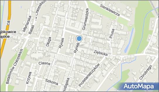 Ząbkowicki Ośrodek Kultury, Rynek 24, Ząbkowice Śląskie - Centrum kultury