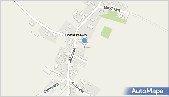 Mur historyczny, Dobieszewo 13, Dobieszewo 76-248 - Ciekawe miejsce