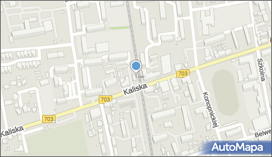 Stacja Kolei Wąskotorowej, Kaliska 38, Łęczyca - Ciekawe miejsce