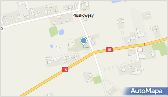 Cmentarz, Pluskowęsy 50B, Pluskowęsy 87-410 - Cmentarz