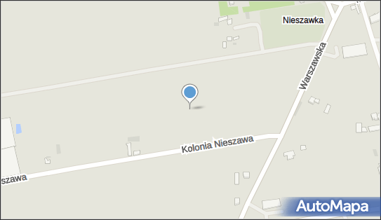 Pozostałości cmentarza Ewangelickiego, Kolonia Nieszawa, Nieszawa 87-730 - Cmentarz