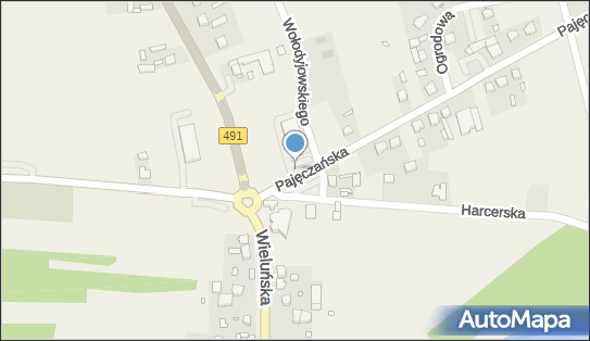 DOZ Apteka. Dbam o Zdrowie. Veris Popów, Pajęczańska 1 / 3, godziny otwarcia, numer telefonu