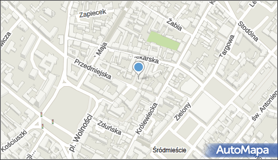 DOZ Apteka dbam o zdrowie, Przedmiejska 6, Włocławek, godziny otwarcia, numer telefonu