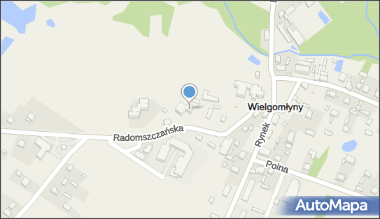 DOZ Punkt Apteczny dbam o zdrowie, Radomszczańska 7, Wielgomłyny, godziny otwarcia, numer telefonu