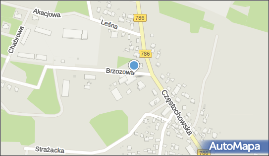 Delikatesy Centrum - Sklep, Częstochowska 89, Piekoszów 26-065, godziny otwarcia