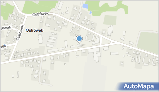 Delikatesy Centrum - Sklep, Ostrówek 113, Ostrówek 98-311, godziny otwarcia