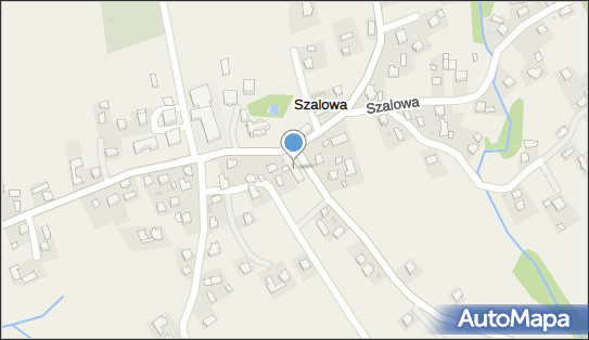 Delikatesy Centrum - Sklep, Szalowa 111, Szalowa 38-331, godziny otwarcia