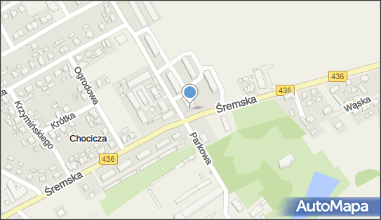 Delikatesy Centrum - Sklep, Śremska 19, Chocicza 63-040, godziny otwarcia