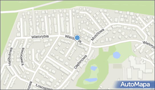 Gabinet Stomatologiczny Halina Wasilewska, ul. Wielorybia 38 85-435 - Dentysta, numer telefonu, NIP: 9531290656