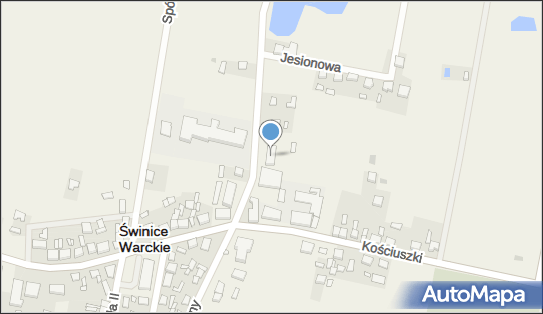 Gabinet Stomatologiczny Patrycja Okupińska, ul. Szkolna 10 99-140 - Dentysta, NIP: 7282523220