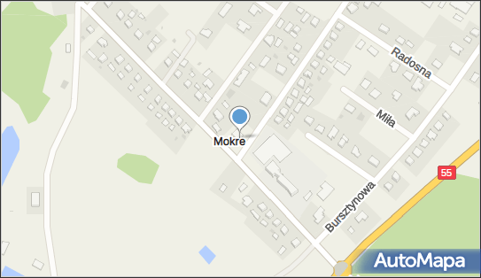 9660445925, Gabinet Stomatologiczny Bazyluk Alina 