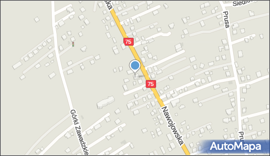 Gabinet Stomatologiczny, ul. Nawojowska 294 A, Nowy Sącz 33-300 - Dentysta, NIP: 7341145654