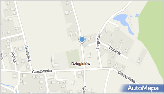 Gabinet Stomatologiczny, Dzięgielów 269, Dzięgielów 43-445 - Dentysta, NIP: 5481048559