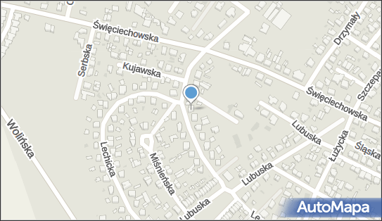 Gabinet Stomatologiczny, Lechicka 59, Leszno 64-100 - Dentysta, NIP: 6971068788