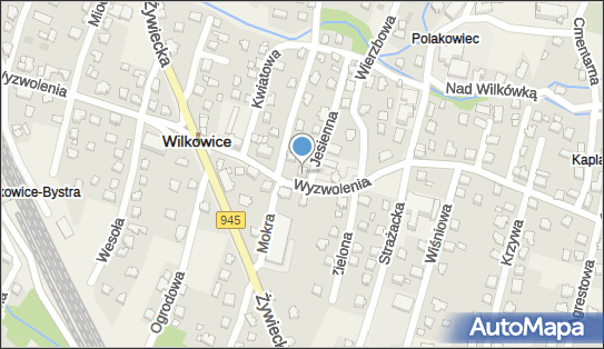 Indywidualna Praktyka Stomatologiczna, Wyzwolenia 109, Wilkowice 43-365 - Dentysta, NIP: 5471460761