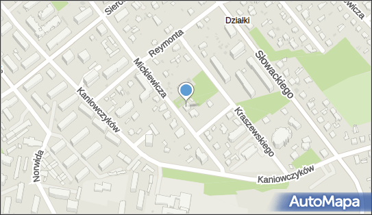 Lekarz Dentysta, ul. Adama Mickiewicza 21B, Puławy 24-100 - Dentysta, NIP: 7162770826