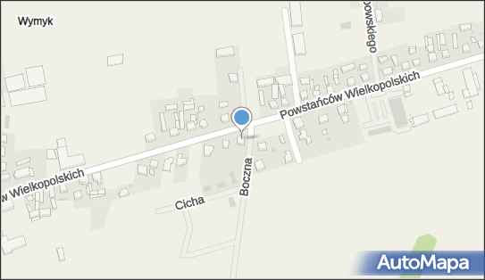 Prywatna Praktyka Stomatologiczna Wijewo, Wijewo 64-150 - Dentysta, NIP: 6971376432