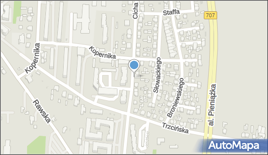 Prywatny Gabinet Stomatologiczny Ewa Sobczykiewicz, ul. Cicha 59 96-100 - Dentysta, numer telefonu, NIP: 8361000942