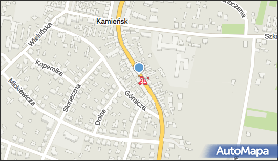 Prywatny Gabinet Stomatologiczny, ul. Juliusza Słowackiego 40 97-360 - Dentysta, NIP: 7721353991