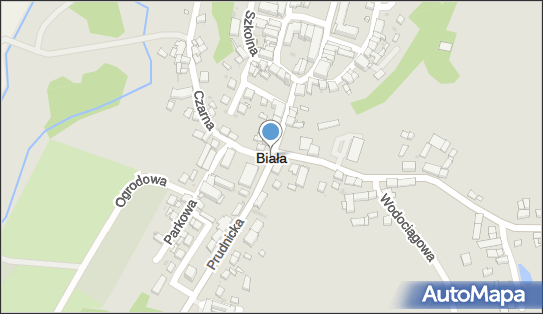 Prywatny Gabinet Stomatologiczny, Biała 3, Biała 48-210 - Dentysta, numer telefonu, NIP: 7551113637
