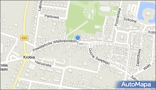 Prywatny Gabinet Stomatologiczny, Powstańców Wielkopolskich 11 63-840 - Dentysta, numer telefonu, NIP: 8951140779