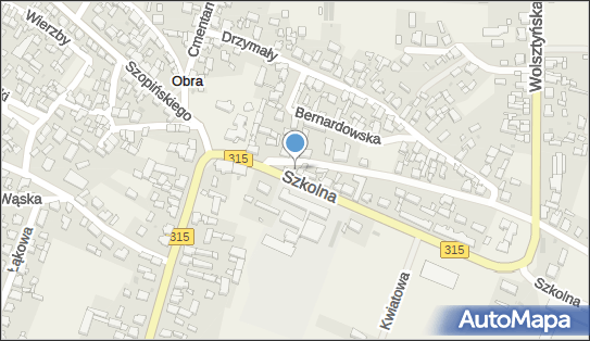 DHL POP Delikatesy Centrum, Szkolna 1, Obra 64-211, godziny otwarcia